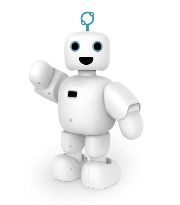 Front image of pibo