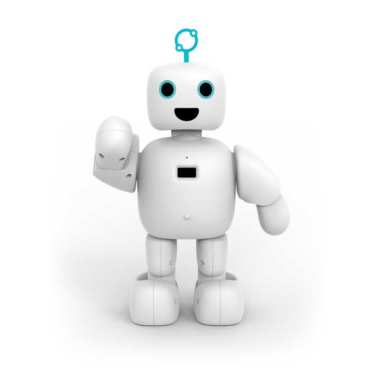 Front image of pibo
