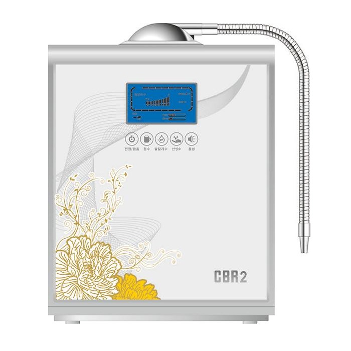 Water ionizer