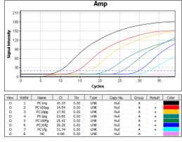 Display result of analysis on laptop