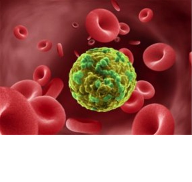 Excel in cancer patient pain