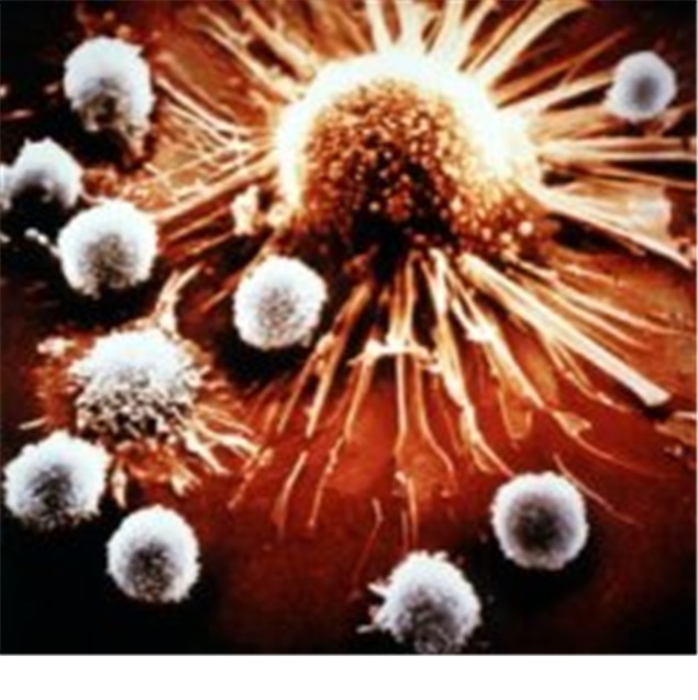 Cancer treatment is definitely cured