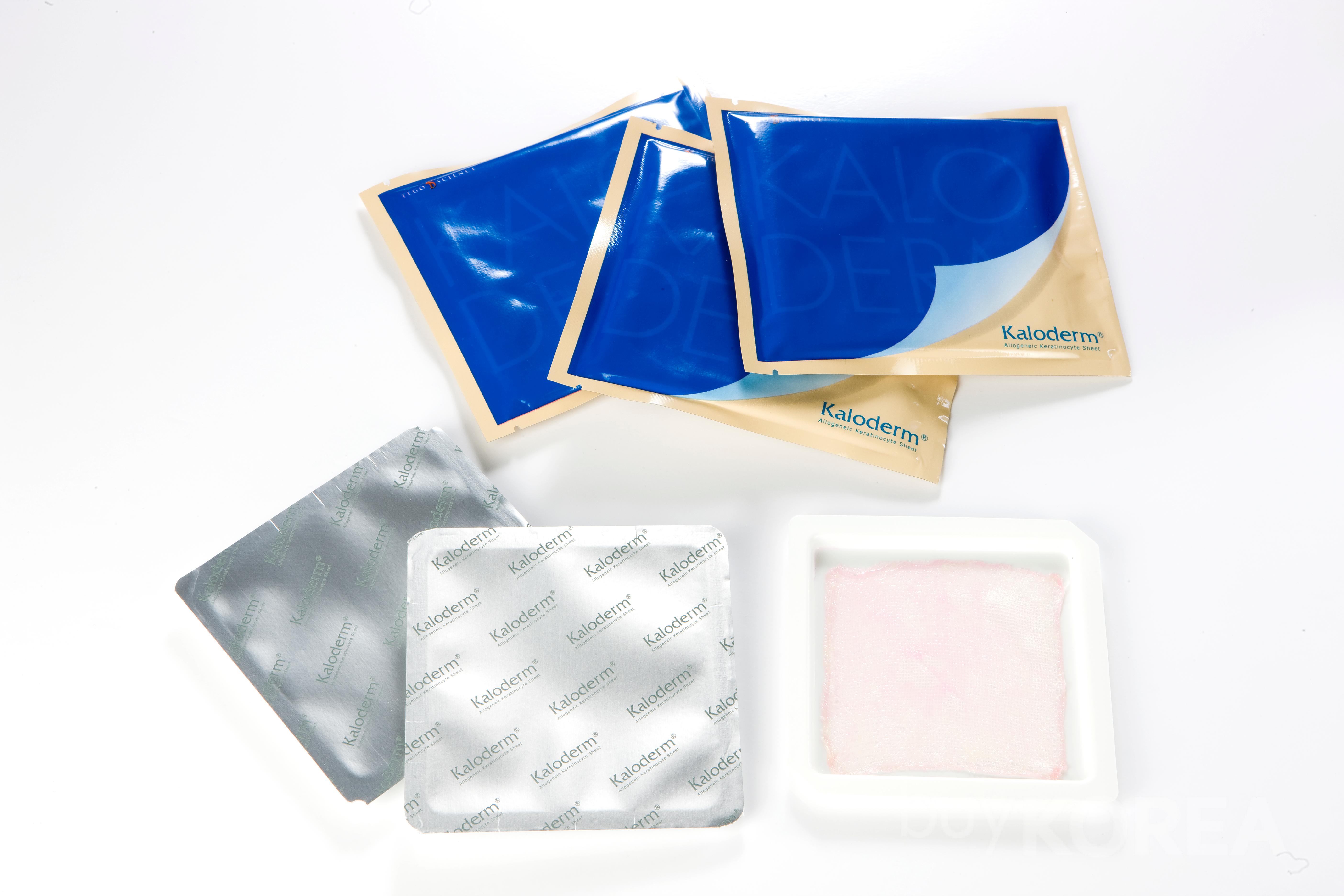 Allogenic Keratinocytes Sheet  Wound Healing Biol