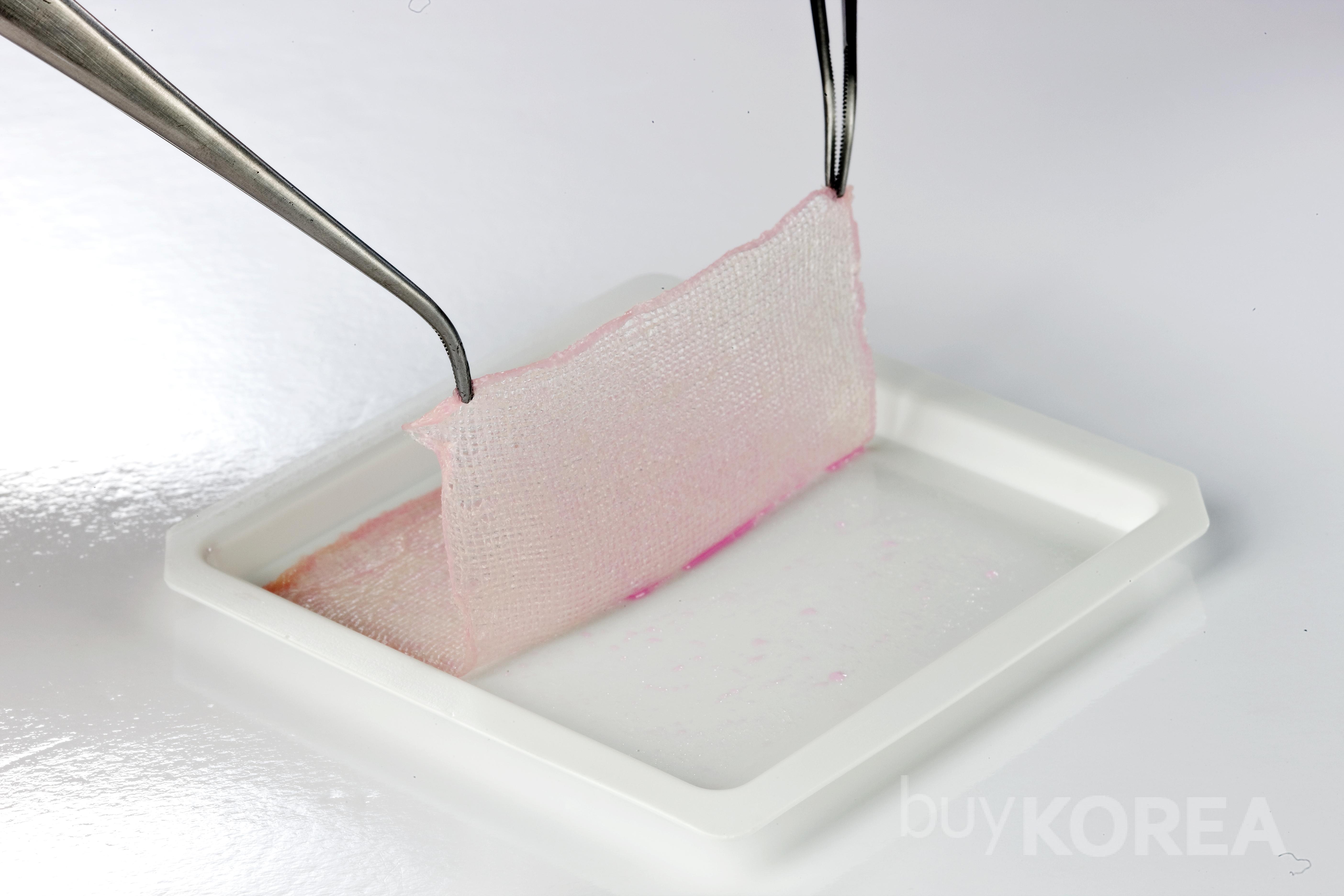 Allogenic Keratinocytes Sheet  Wound Healing Biol