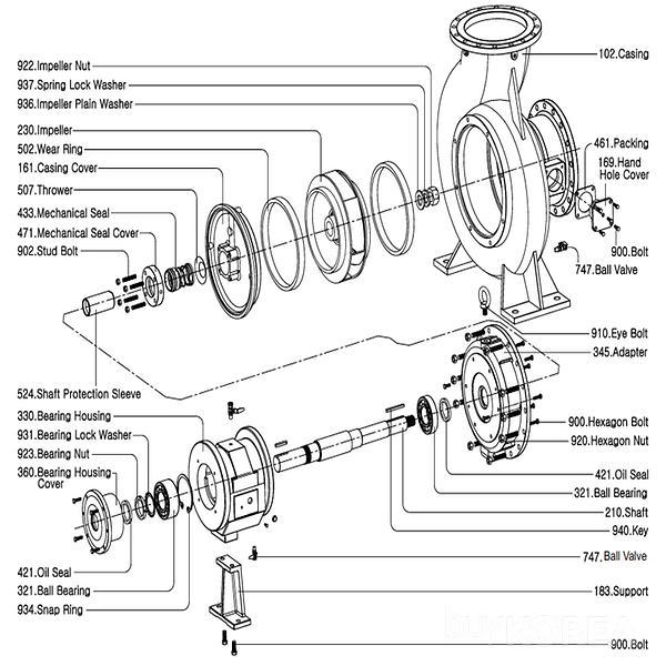 volute pump