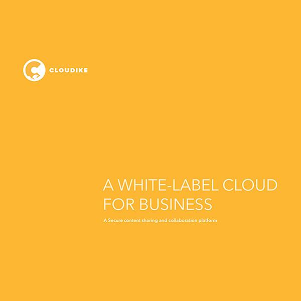 Business Cloud