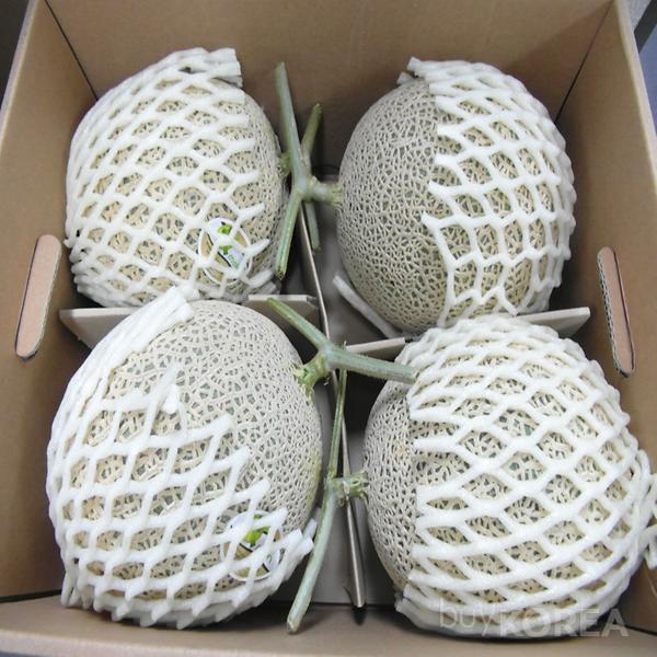 Korean Melons