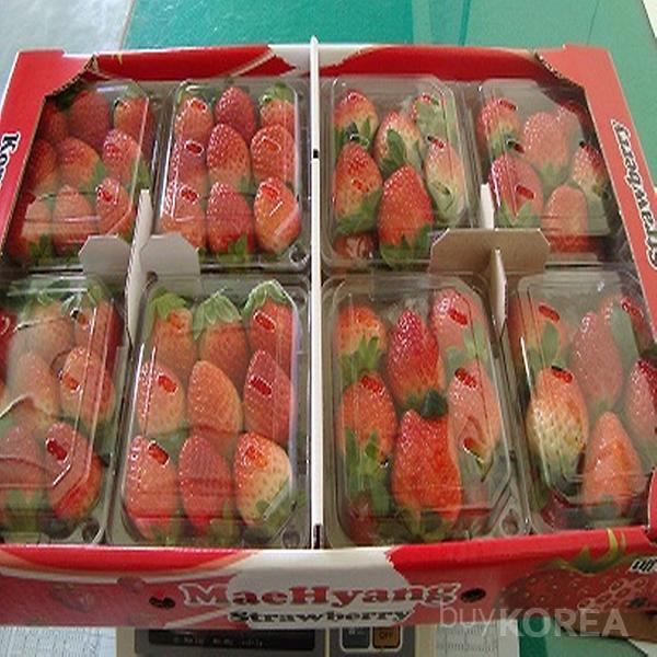 Korean Strawberries