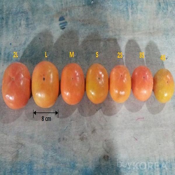 Korean Sweet Persimmons