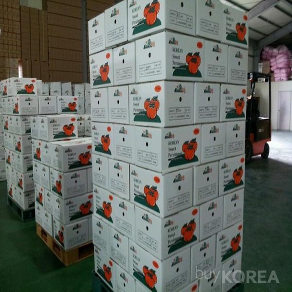 Korean Sweet Persimmons