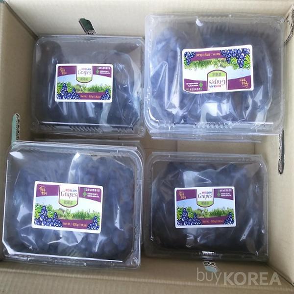 Korean Grapes