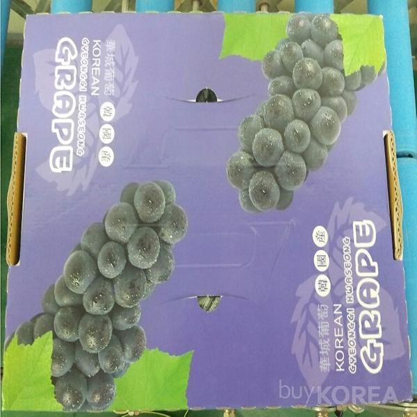 Korean Grapes