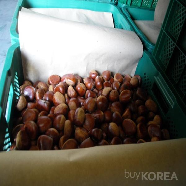 Korean Chestnuts