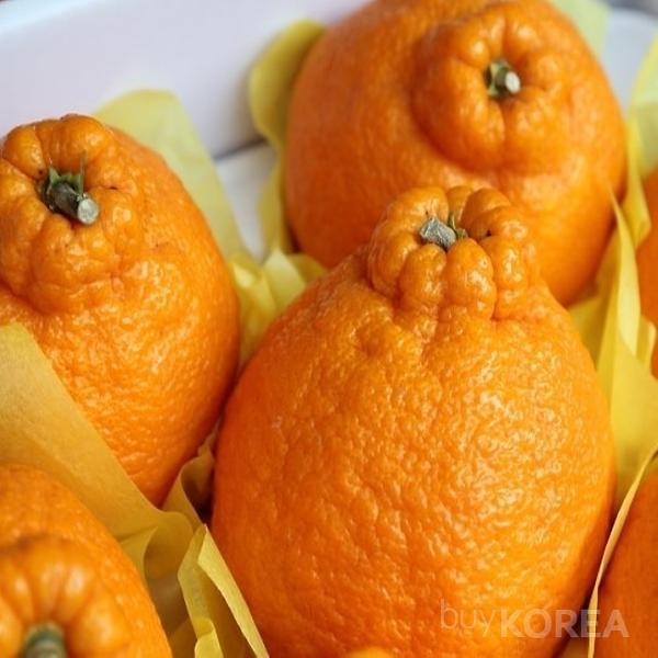 Korean Dekopons