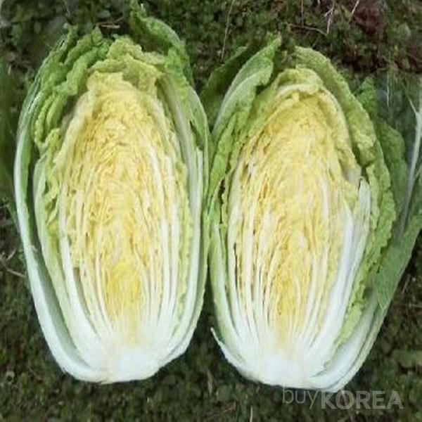 Korean Cabbages