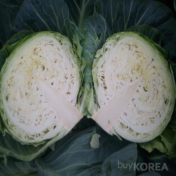 Korean Cabbages