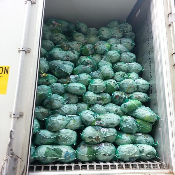 Korean Cabbages