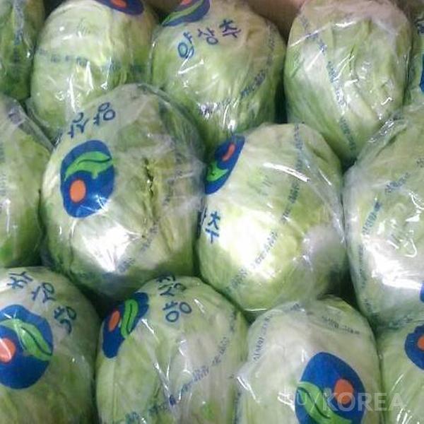 Korean Lettuces