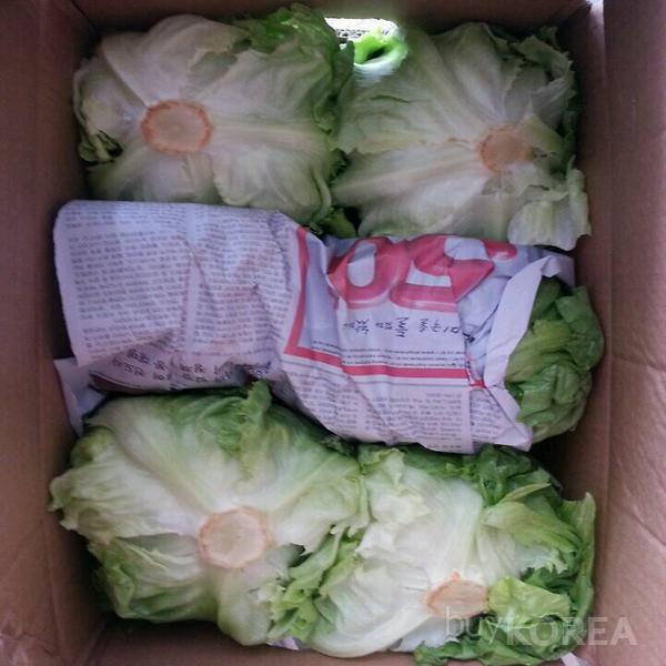 Korean Lettuces