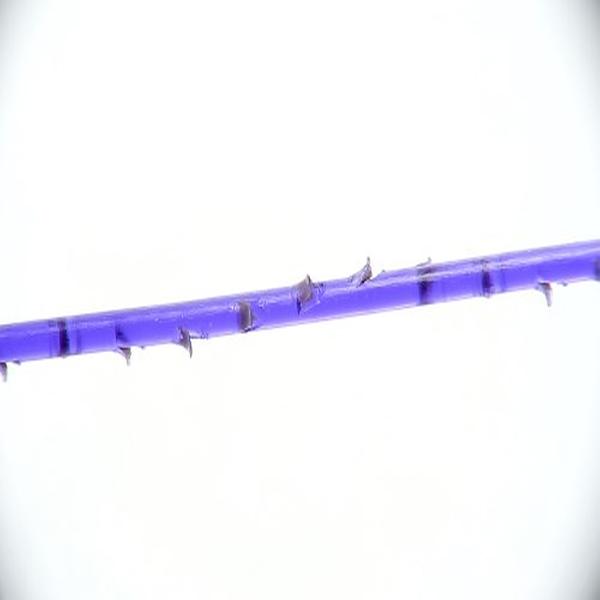 360degree PDO thread