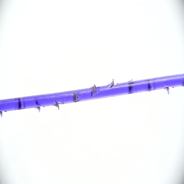 360degree PDO thread