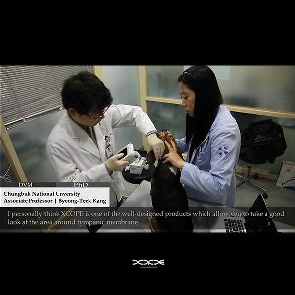 XCOPE in vet clinic