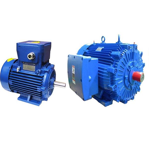 AC Induction Motors of Low Voltage and High Voltag