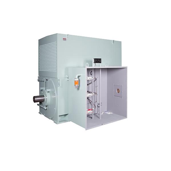 AC Induction Motors of Low Voltage and High Voltag