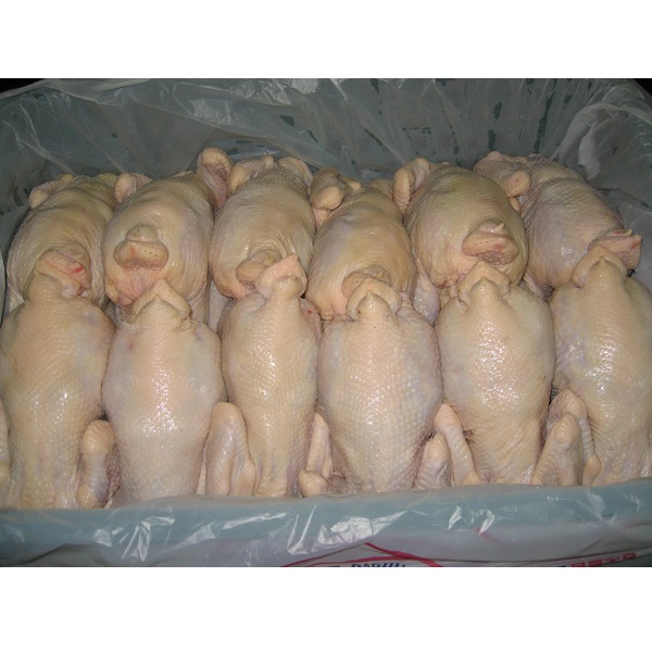 Frozen chicken