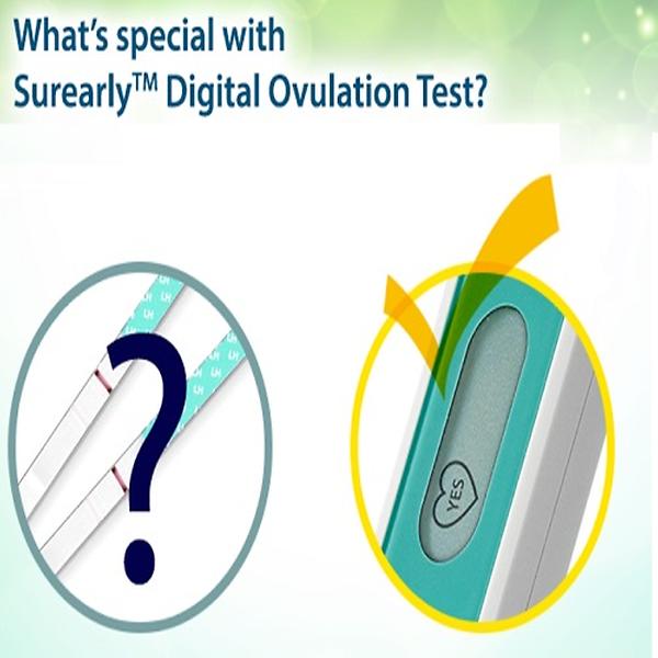 YES / NO / Test errors