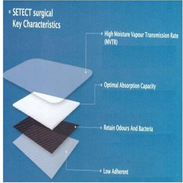 SETECT Surgical Dressing