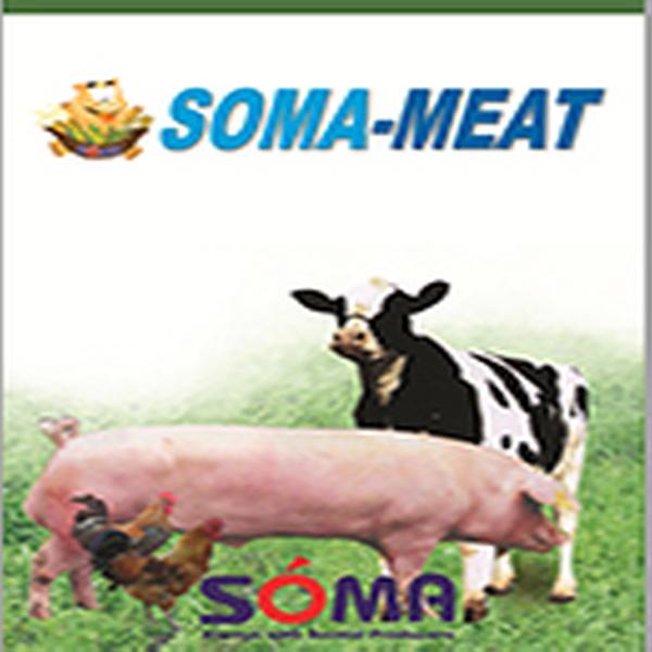 SOMA MEAT