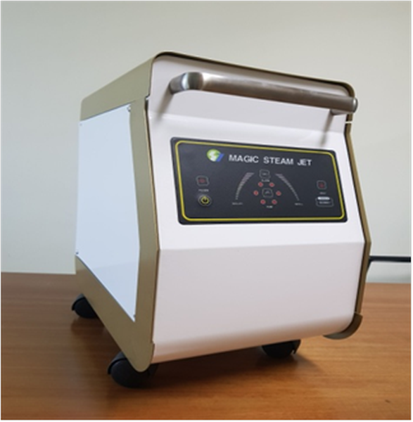 Portable steam washer