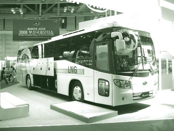 LNG Daewoo Bus