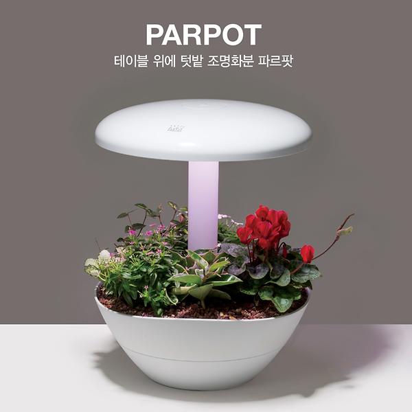 Interior decorative pot