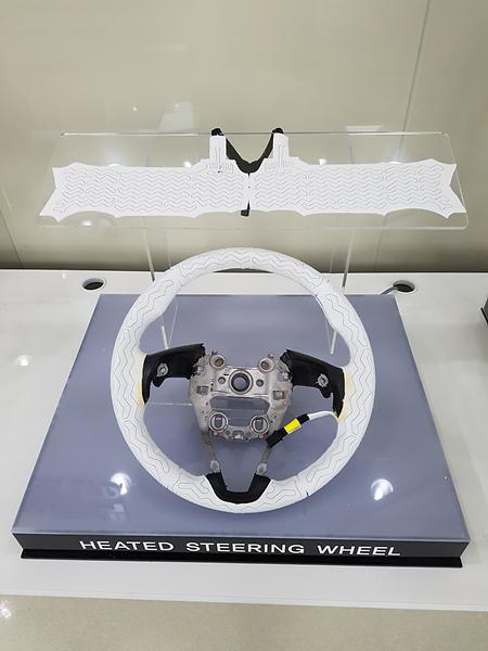 attached to car handle