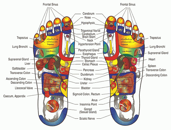 foot reflexology