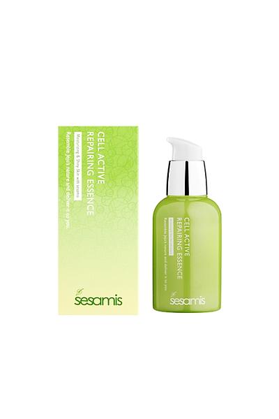 Repairing Essence
