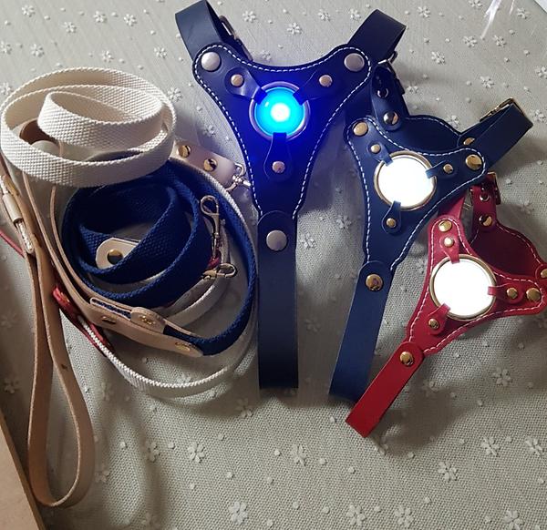 harness/Dog leash/Waste B