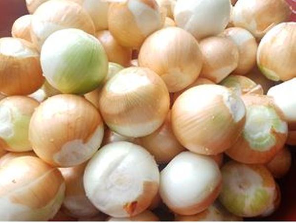 Onion