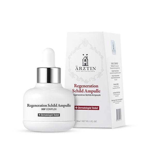 Regenerative  Schild  Amp