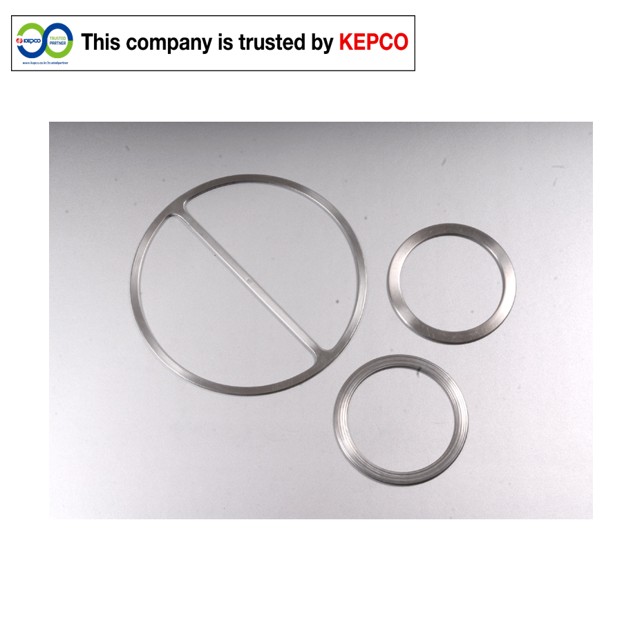 Double Jacketed Gasket