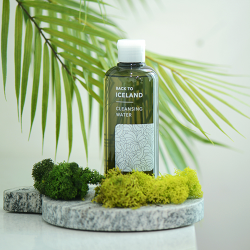 Back To Iceland Cleanser