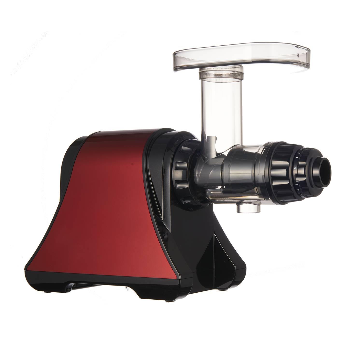 Slow JuicerDA1200