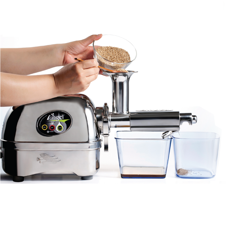 Angel Home Juicer