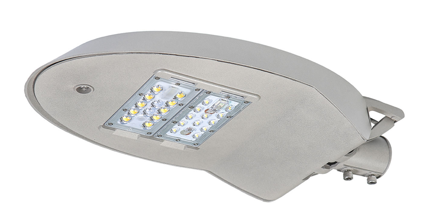 LED Security Light
