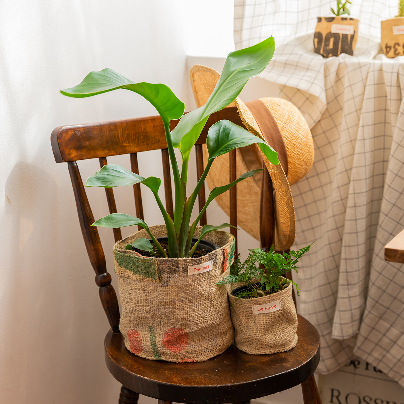 Breathing Pot 3L and 450ml