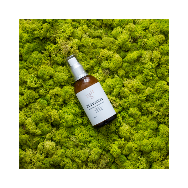 EGF Essence Lotion