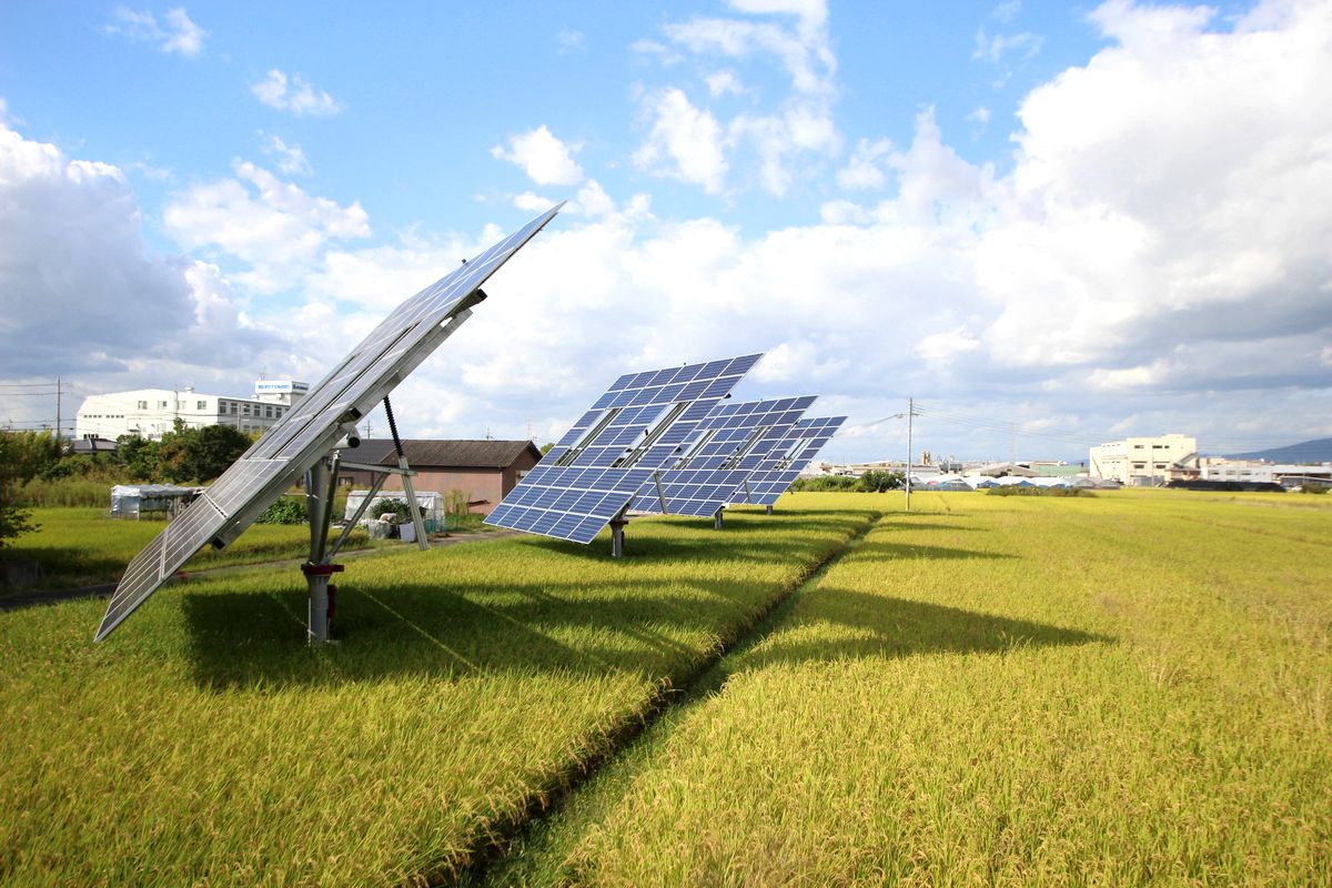 Solar tracking structures