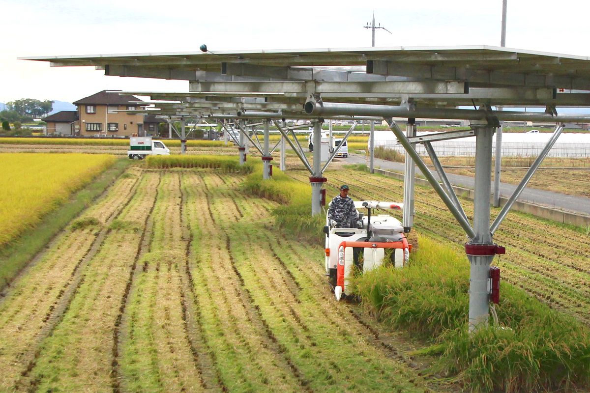 Solar tracking structures